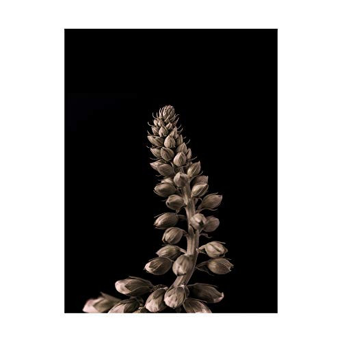 Trademark Fine Art IC01428-C1419GG Upwards 2 Design Fabrikken, 14x19, Multiple