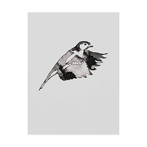 Trademark Fine Art IC01718-C1419GG Flying Bird II by Incado, 14x19, Multiple