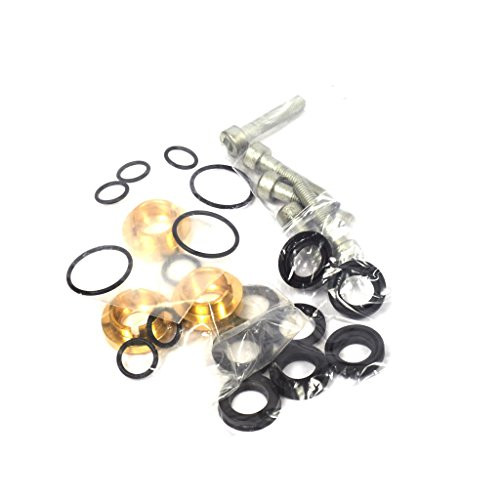 Briggs & Stratton 193807GS Pump Seal Set for Pressure Washers