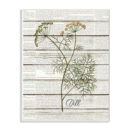Stupell Industries Dill Vintage Herb Kitchen Dining Room Word Collage Design Wall Plaque, 10 x 15, Multi-Color