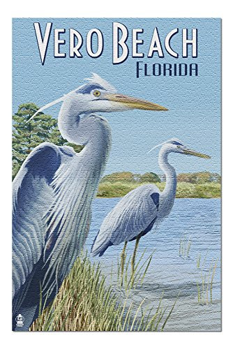 Vero Beach, Florida - Blue Heron (Premium 1000 Piece Jigsaw Puzzle for Adults, 19x27)