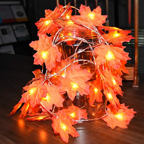 leegleri Fall Decor Maple Leaf String Lights for Thanksgiving Christmas 10 LED Maple Fall Leaf Garland Waterproof 2AA Battery for Indoor,Outdoor