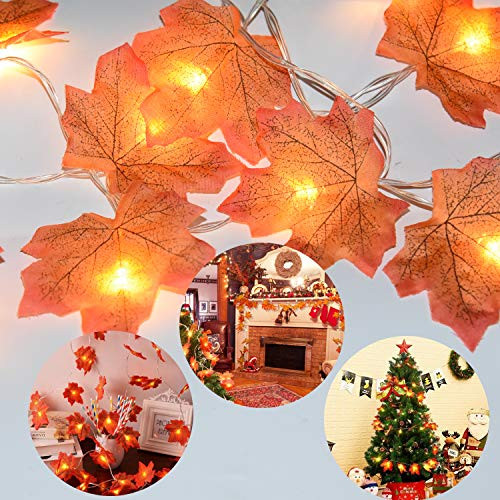leegleri Fall Decor Maple Leaf String Lights for Thanksgiving Christmas 20 LED Maple Fall Leaf Garland Waterproof 3AA Battery for Indoor,Outdoor