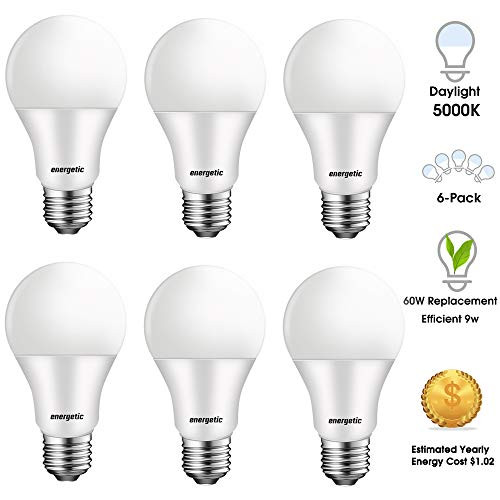 LED Light Bulbs 5000K Daylight 60W Equivalent, A19 Non-dimmable LED Light Bulbs, 750 Lumens, E26 Base, UL Listed, 6 Pack