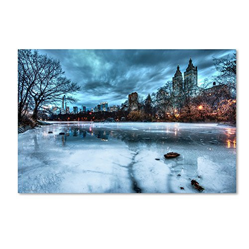 Frozen Central Park Lake II by David Ayash Wall Decor, 12 by 19-Inch Canvas Wall Art
