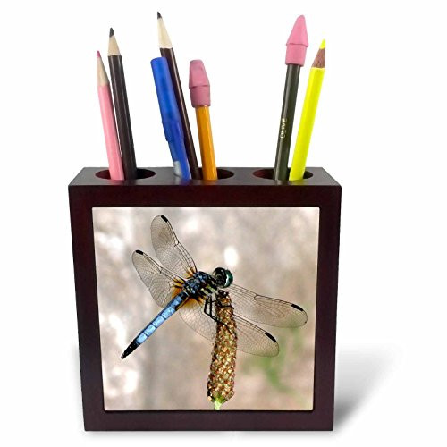 3dRose ph_11560_1 Beautiful Dragonfly Tile Pen Holder, 5-Inch