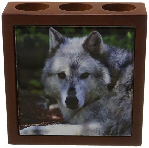 3dRose LLC ph_127803_1 Tile Pen Holder, 5-Inch, Male Gray Wolf Watching You a Photo of a Wolf That Looks Like it is Staring at You