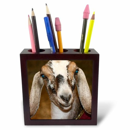 3dRose ph_156065_1 Nubian Dairy Goat Doe White Stripe Caprine Square-Tile Pen Holder, 5-Inch