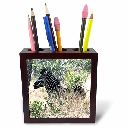3dRose ph_20131_1 South African Zebra in The Grass Tile Pen Holder, 5-Inch
