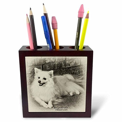 3dRose LLC American Eskimo Dog 5-Inch Tile Pen Holder