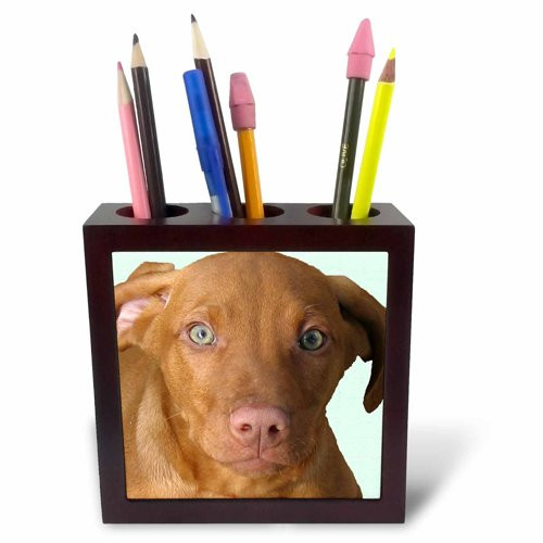 3dRose ph_48744_1 Vizsla Puppy-Tile Pen Holder, 5-Inch