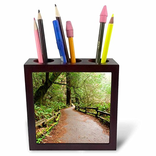 3dRose ph_88409_1 California, Marin County, Muir Woods NM, Path - US05 IHO0150 - Inger Hogstrom - Tile Pen Holder, 5-Inch