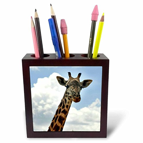 3dRose ph_98361_1 Giraffe with Sky Looking at Me, Tanzania-Tile Pen Holder, 5-Inch