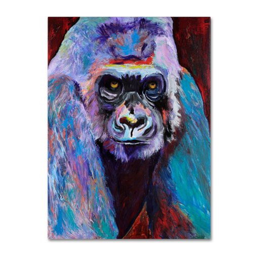 Thor  by Pat Saunders, 14 by 19-Inch Canvas Wall Art