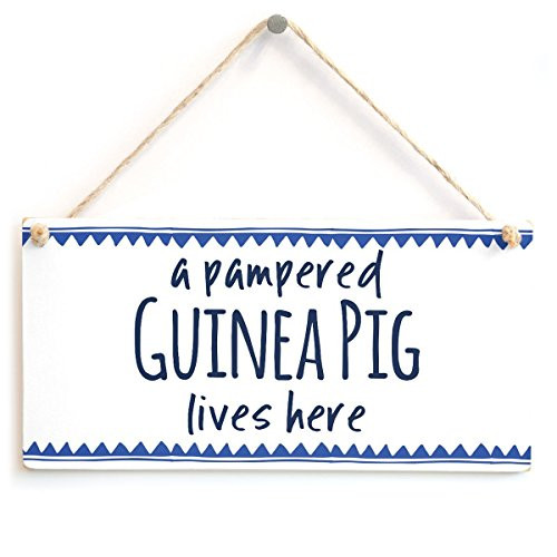 Meijiafei a Pampered Guinea Pig Lives here - Small Gift Idea for Guinea Pig Lovers 10" X 5"