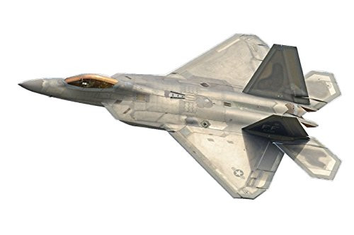 Rogue River Tactical Large Military Fighter Jet F-22 Raptor Aircraft Wall Decal Sticker Boys Bedroom Airplane Wall Decor Decoration Peel and Stick