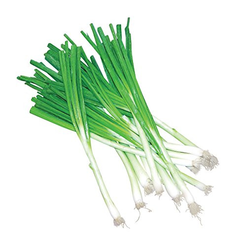 Burpee Toyko Long White Onion Seeds 2000 seeds
