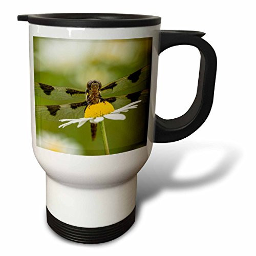 3dRose Big Sable Point Lighthouse, Lake, Ludington, Michigan Travel Mug, 14 oz, White