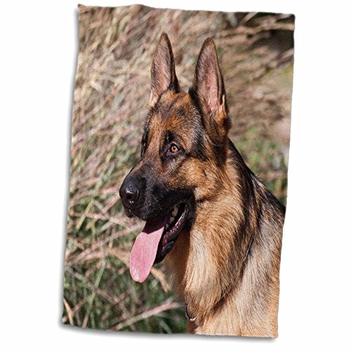 3D Rose German Shepherd Dog in A Field-Na02 Zmu0146-Zandria Muench Beraldo Towel, 15" x 22" 3D Rose German Shepherd Dog in A Field-Na02 Zmu0146-Zandria Muench Beraldo Towel, 15" x 22"