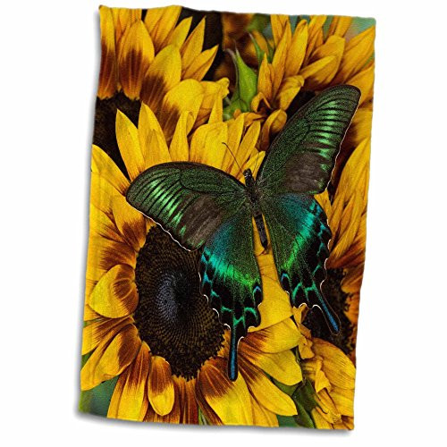 3D Rose Common Peacock Swallowtail Butterfly Hand Towel, 15" x 22"