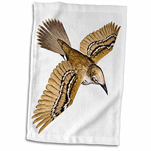 3D Rose Cozumel Thrasher Hand/Sports Towel, 15 x 22