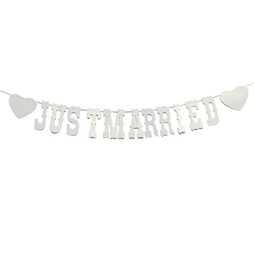 Fulol Vintage Just Married Banner Silver Wedding Decor Bunting Photo Booth Props Signs Garland Bridal Shower Decoration