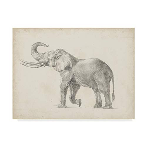 Trademark Fine Art Elephant Sketch I by Ethan Harper, 14x19 Trademark Fine Art Elephant Sketch I by Ethan Harper, 14x19