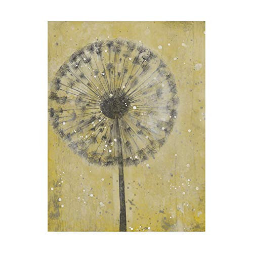 Trademark Fine Art Dandelion Abstract II by Tim Otoole, 14x19