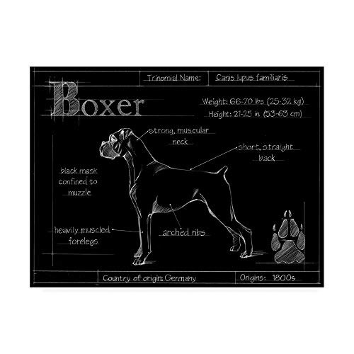 Trademark Fine Art Blueprint Boxer by Ethan Harper, 14x19 Trademark Fine Art Blueprint Boxer by Ethan Harper, 14x19