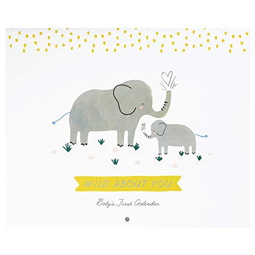 C.R. Gibson BA3-22583 Cute Elephants ''Wild About You'' Gender Neutral First Year Baby Calendar, 11'' W x 18'' H