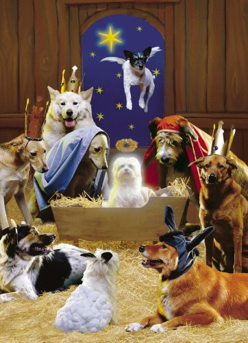 Avanti Christmas Cards, The 12 Dogs of Christmas, 10-Count