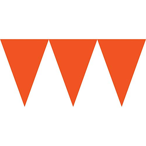 Paper Pennant Banner | Orange Peel | Party Decor