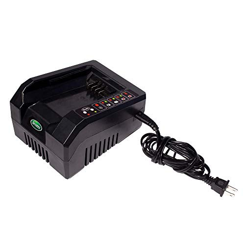 Scotts Outdoor Power Tools CHL86200 62-Volt Lithium-Ion Battery Charger, Multi
