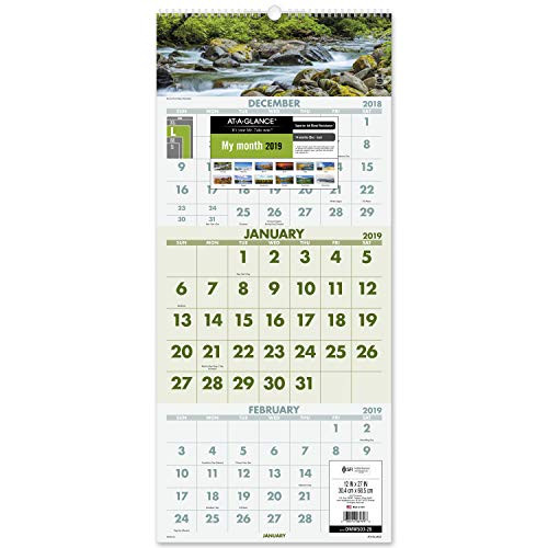 AT-A-GLANCE 2019 Wall Calendar, 3-Month Display, 12" x 27", Large, Wirebound, Scenic (DMW50328)