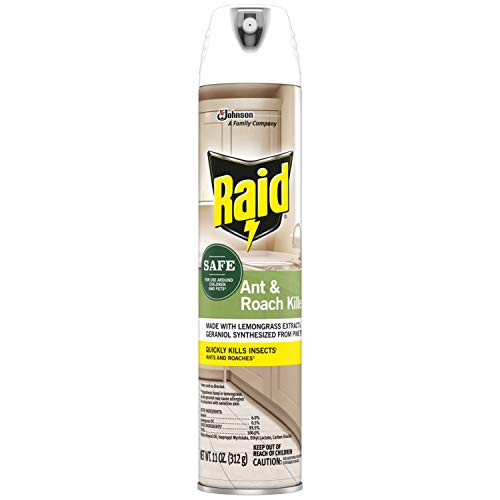 Raid Ant & Roach Killer Spray for Listed Bugs, Insect, Spider, For Indoor Use, Essential Oils, Child & Pet Safe, 11 Oz, Pack of 1