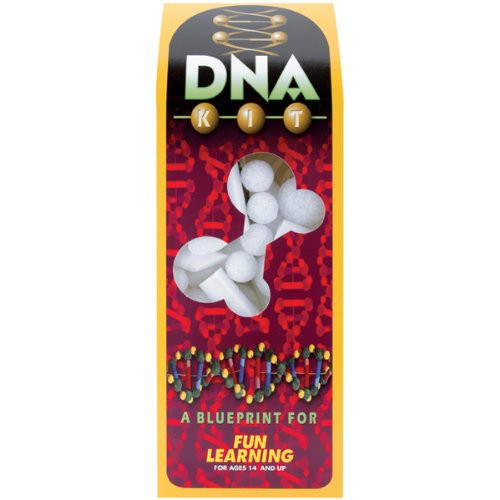 FloraCraft Fun Learning DNA Kit DNA model kit