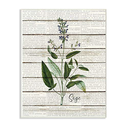 Stupell Industries Sage Vintage Herb Kitchen Dining Room Word Collage Design Wall Plaque, 10 x 15, Multi-Color