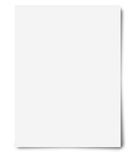 Royal Brites Poster Board White, 22 x 28 Inches, 50-Sheet Case (24301)