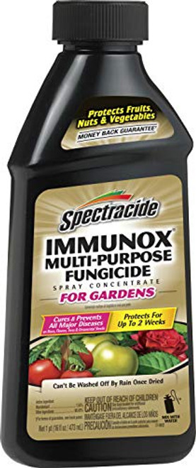Spectracide 100507462 Immunox Multi Purpose Fungicide Spray Concentrate, 16 fl oz Spectracide 100507462 Immunox Multi Purpose Fungicide Spray Concentrate, 16 fl oz