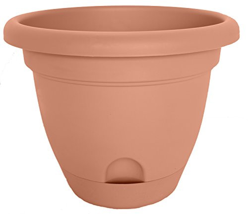 Bloem LP1046 Lucca Planter, 10-Inch, Terra Cotta