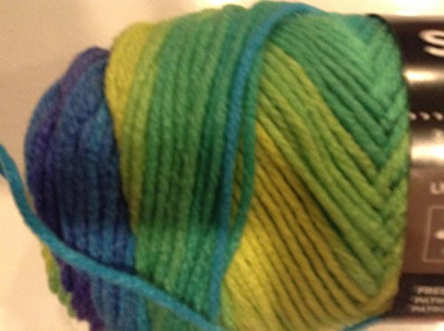 Bulk Buy: Red Heart Super Saver Yarn, Parrot Stripe (4968), Pack of 2 Balls