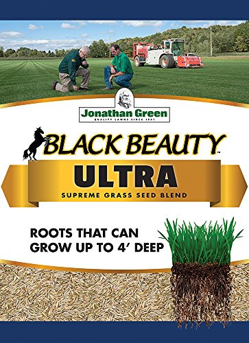 Jonathan Green Black Beauty Ultra Grass Seed, 1-Pound