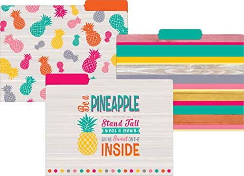 Teacher Created Resources Tropical Punch File Folders (TCR8538)