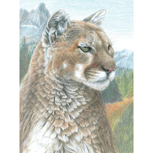 Royal Brush Color Pencil by Number Kit, 8.75 by 11.75-Inch, Cougar
