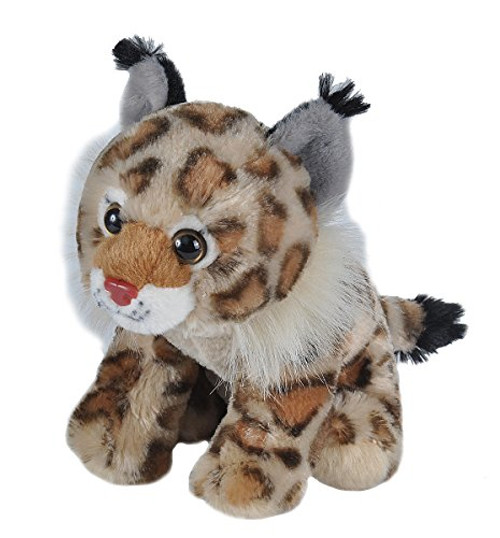 Wild Republic Bobcat Plush, Stuffed Animal, Plush Toy, Gifts for Kids, Cuddlekins, 8 Inches,Multi Wild Republic Bobcat Plush, Stuffed Animal, Plush Toy, Gifts for Kids, Cuddlekins, 8 Inches,Multi