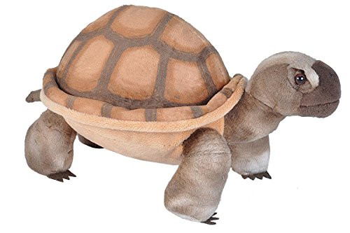 Wild Republic Desert Tortoise Plush, Stuffed Animal, Plush Toy, Gifts for Kids, Cuddlekins 12 Inches,Multi