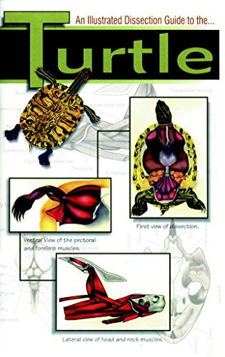 Frey Scientific 597027 Mini-Guide to Turtle Dissection