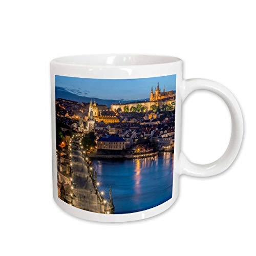3dRose King Protea, Helderberg Nature Reserve, Cape Town, South Africa Ceramic Mug, 15 oz