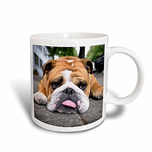 3dRose Very Tired French Bulldog Ceramic Mug, 15 oz, Red