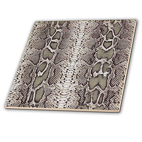 3dRose Grey Snakeskin Animal Print-Ceramic Tile, 4" (ct_20347_1)